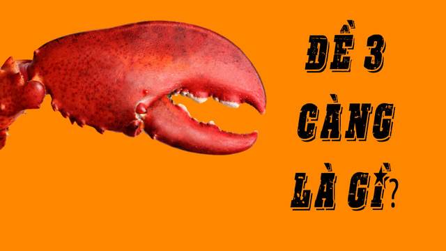 Lô đề 3 càng là sao